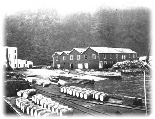 The Cabot Steam Whaling Company's 2nd Whaling Station, Balaena, Hermitage Bay, 1903 The Cabot Steam Whaling Company's 2nd Whaling Station, Balaena, Hermitage Bay, 1903