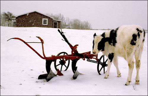 The Onset of Winter The Onset of Winter