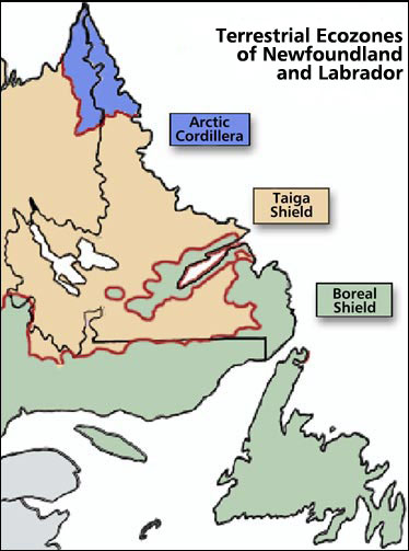 Ecozones of Newfoundland and Labrador Ecozones of Newfoundland and Labrador