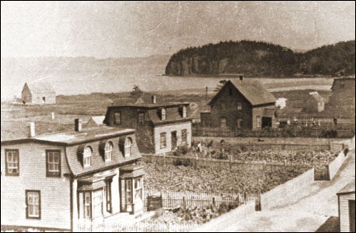 Potato Gardens, circa 1915 Potato Gardens, circa 1915