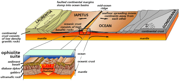 Newfoundland in the Middle Cambrian Newfoundland in the Middle Cambrian