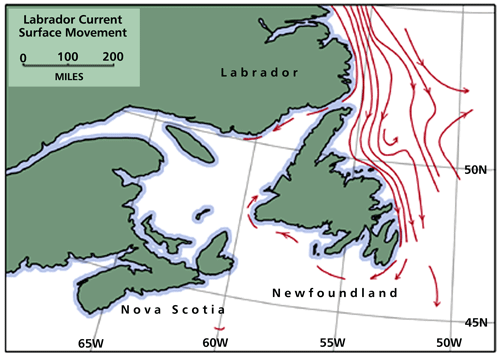 Labrador Current Surface Movement Labrador Current Surface Movement