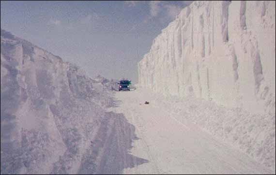 The Storm of 1995 The Storm of 1995