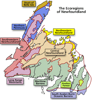 Ecoregions of Newfoundland Map Ecoregions of Newfoundland