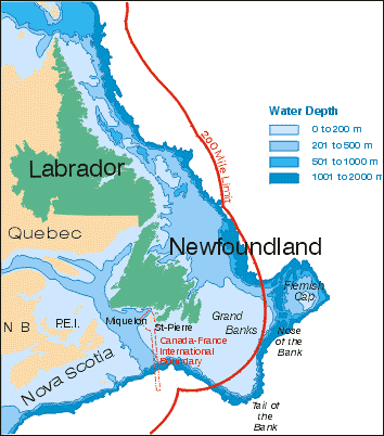Continental Shelf Continental Shelf