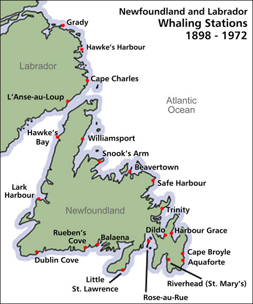 Newfoundland and Labrador Whaling Stations, 1898-1972 Newfoundland and Labrador Whaling Stations, 1898-1972