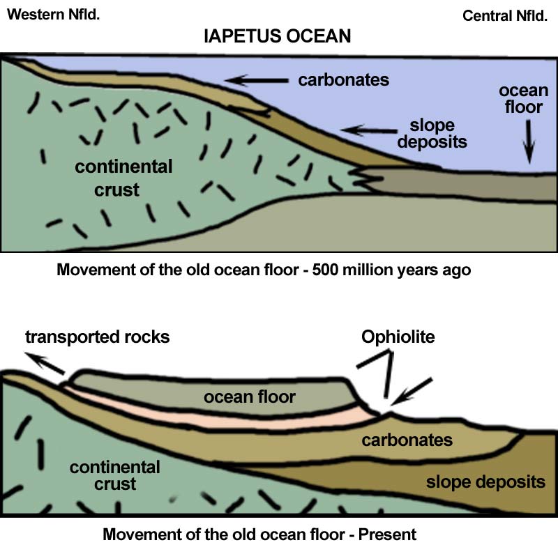 Movement of the Ocean Floor, Then and Now Movement of the Ocean Floor, Then and Now
