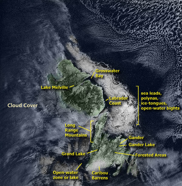 Satellite Image of Newfoundland and Labrador, 1980 Satellite Image of Newfoundland and Labrador, 1980