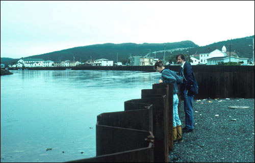 Sea Wall at Placentia Sea Wall at Placentia