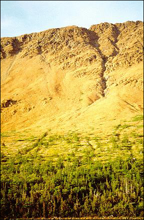 Tablelands Gros Morne