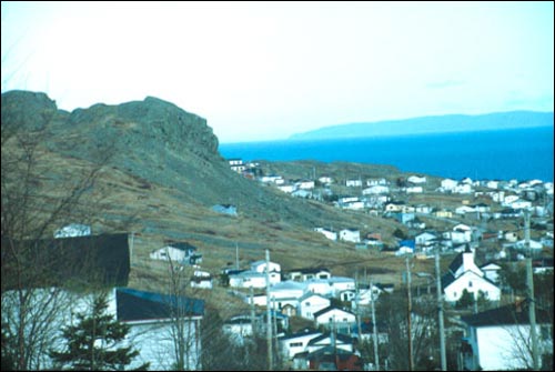 Upper Island Cove Upper Island Cove