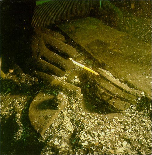 Remains of a Spanish Compass, ca. 1565 Remains of a Spanish Compass, ca. 1565