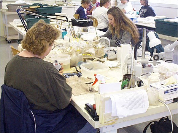 Ferryland's on-site conservation laboratory. Ferryland's on-site conservation laboratory.