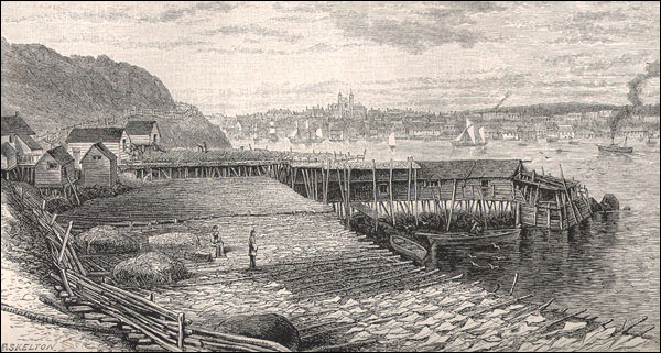 Drying fish, St. John's, NL, n.d. Drying fish, St. John's, NL, n.d.