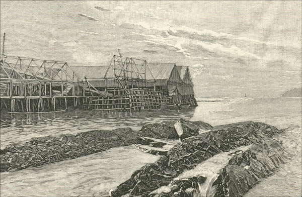 French Fishing Rooms, Cape Rouge Harbour, N.E. Coast French Fishing Rooms, Cape Rouge Harbour, N.E. Coast