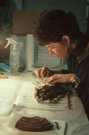 Mechanical cleaning: the first step in the conservation of an artifact. Mechanical cleaning: the first step in the conservation of an artifact.