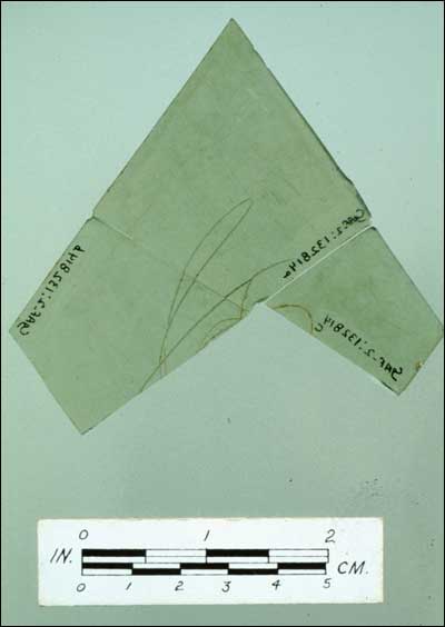 Broken Windowpane (Fld-417) Broken Windowpane (Fld-417)