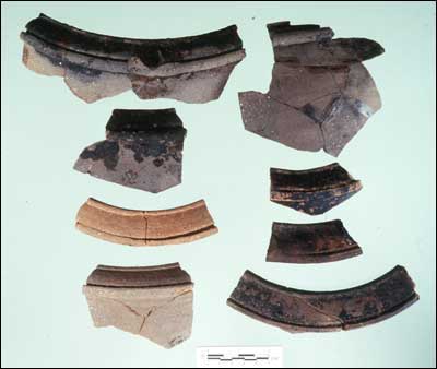 Rim Sherds of Cooking Pots (Fld-323) Rim Sherds of Cooking Pots (Fld-323)