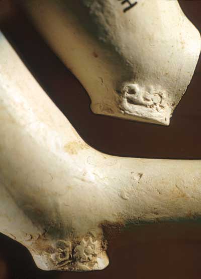 Pipemark Crowned sun/rose Relief Pipemark Crowned sun/rose Relief