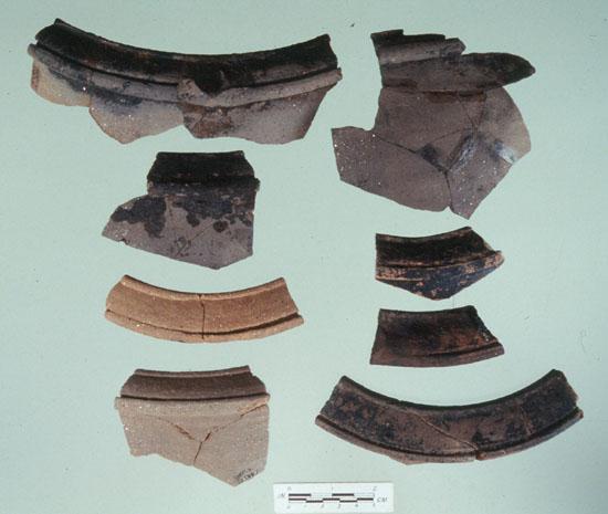 Examples of Pottery Rims Examples of Pottery Rims