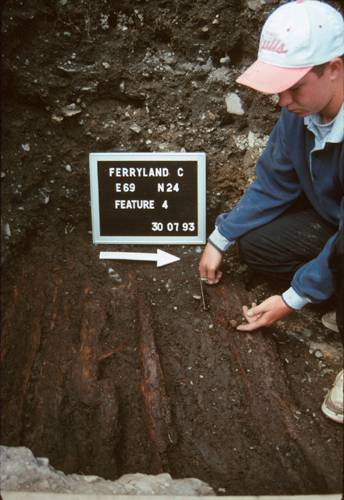 Preserved Wood Buried in a Wet Area of the Dig Preserved Wood Buried in a Wet Area of the Dig