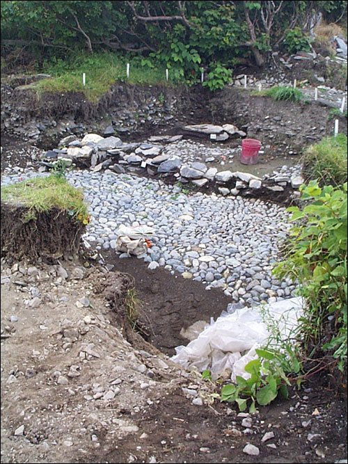 Colony of Avalon's Cobblestone Street of the 1600s Colony of Avalon's Cobblestone Street of the 1600s