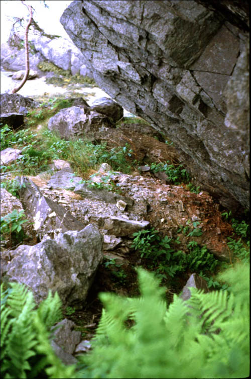 Beothuk Burial Beothuk Burial