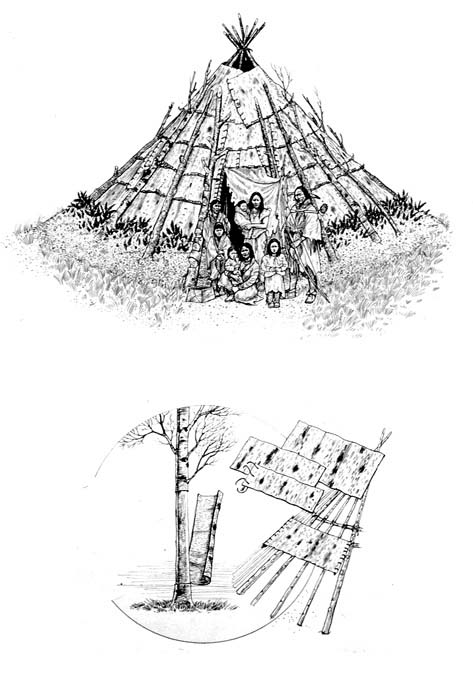 A Beothuk Wigwam A Beothuk Wigwam