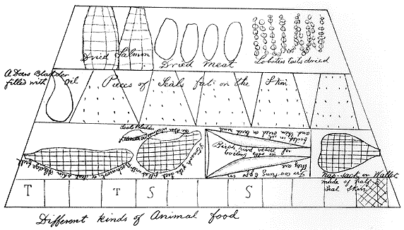 Shanawdithit's Sketch, Different Kinds of Animal Food Shanawdithit's Sketch, Different Kinds of Animal Food