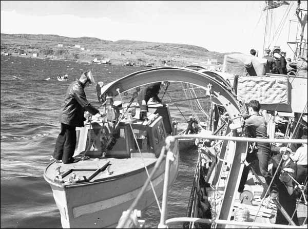 The Black Watch Arrives off Botwood, 1940 The Black Watch Arrives off Botwood, 1940