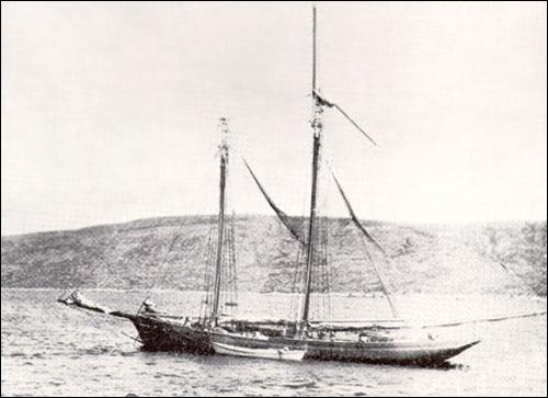 American Schooner, n.d. American Schooner, n.d.