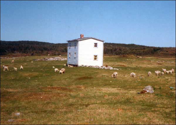 Bernard Cluett's Abandoned House, Cape Cove, ca. 1990