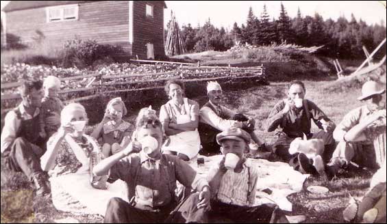 Budgell and Combden families, Wild Cove, ca. 1950 Budgell and Combden families, Wild Cove, ca. 1950