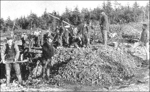 Miners at Work at the Iron Mines on Bell Island, ca. 1895 Miners at Work at the Iron Mines on Bell Island, ca. 1895