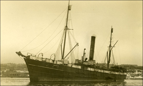 The 'SS Newfoundland', n.d. The 'SS Newfoundland', n.d.