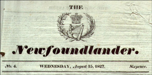 The Newfoundlander The Newfoundlander