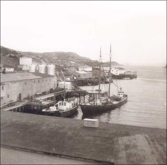 Wareham's wharf, Harbour Buffett, Placentia Bay, NL, 1960 Wareham's wharf, Harbour Buffett, Placentia Bay, NL, 1960
