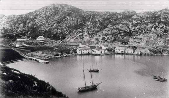 Boats docked at Ship Cove, Burin Boats docked at Ship Cove, Burin