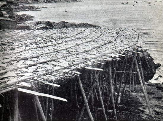 A Flake for Drying Fish, n.d. A Flake for Drying Fish, n.d.