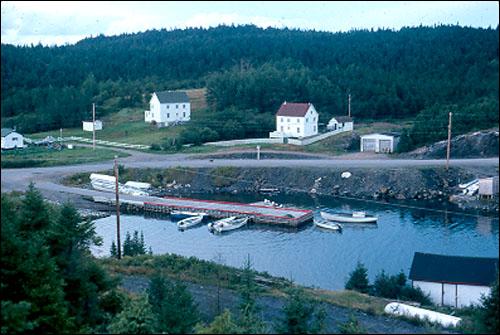 Lower Cove, Happy Adventure, 1986