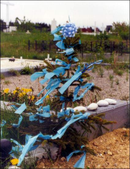 May bush, Flatrock's cemetery, 1999 May bush, Flatrock's cemetery, 1999