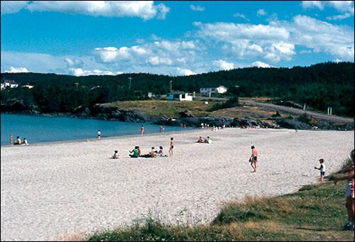 Southwest Beach, Eastport, 1983 Southwest Beach, Eastport, 1983