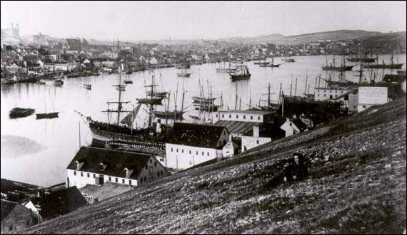 St. John's Harbour St. John's Harbour