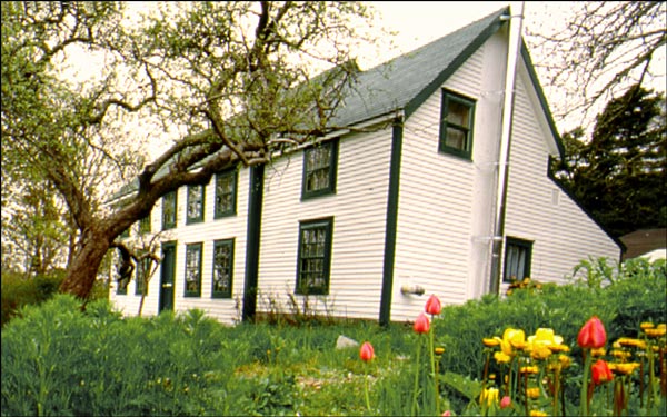 Thimble Cottage, St. John's, NL Thimble Cottage, St. John's, NL