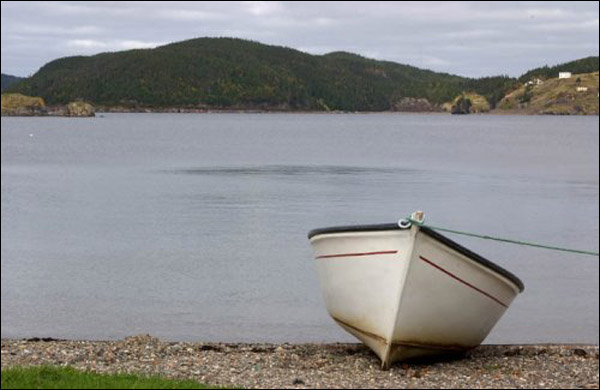 Trinity, NL, 2005 Trinity, NL, 2005