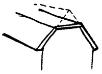 Truncated Truncated