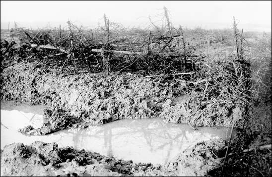 Barbed Wire at Beaumont Hamel, 1916
