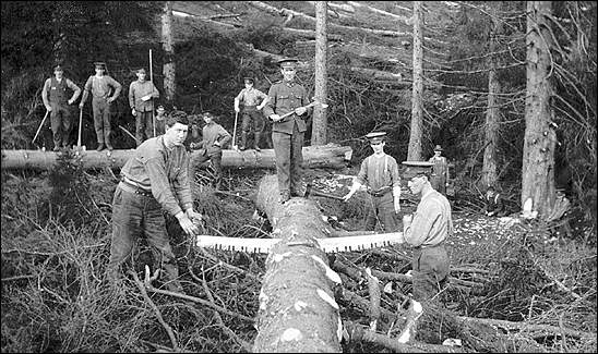 Forestry Corps Working in Forests of Scotland, ca. 1917
