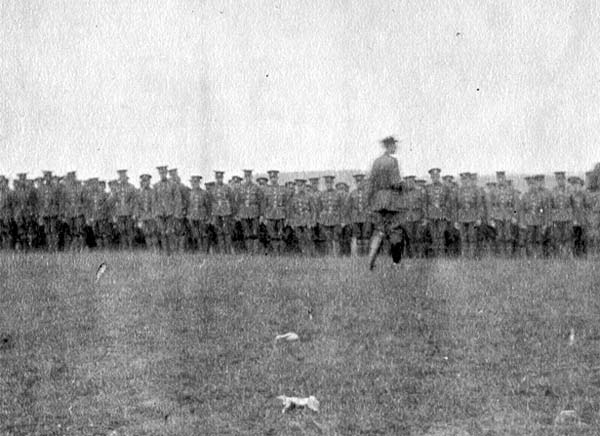 Newfoundland Regiment Soldiers on Parade in Britain, n.d.