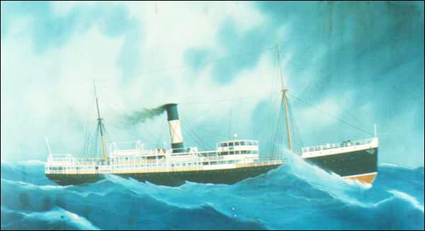 Painting of the SS Stephano